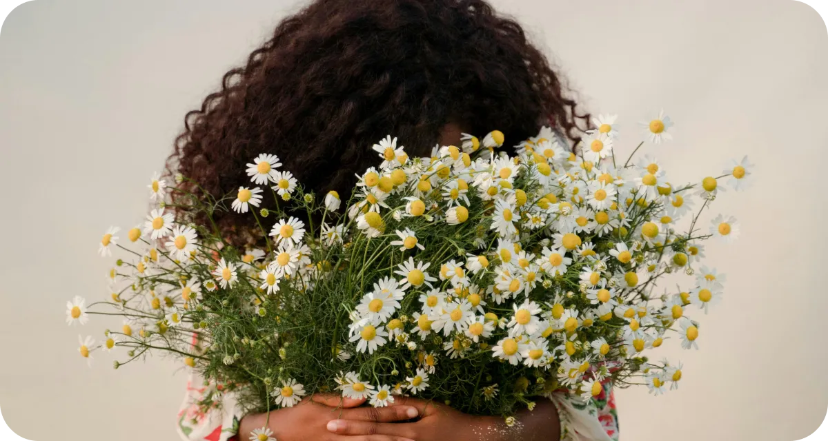 Migration from UIKit to Swift UI for a journalling app with over 800.000 downloads