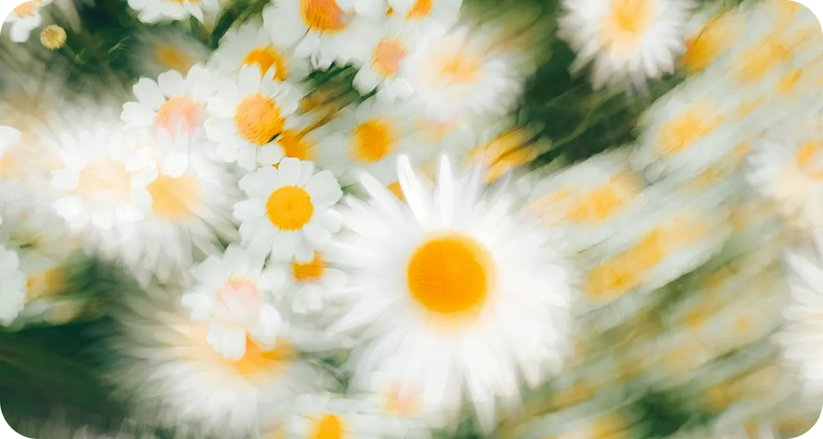 Onboarding redesign leads to 20%ARPU Uplift