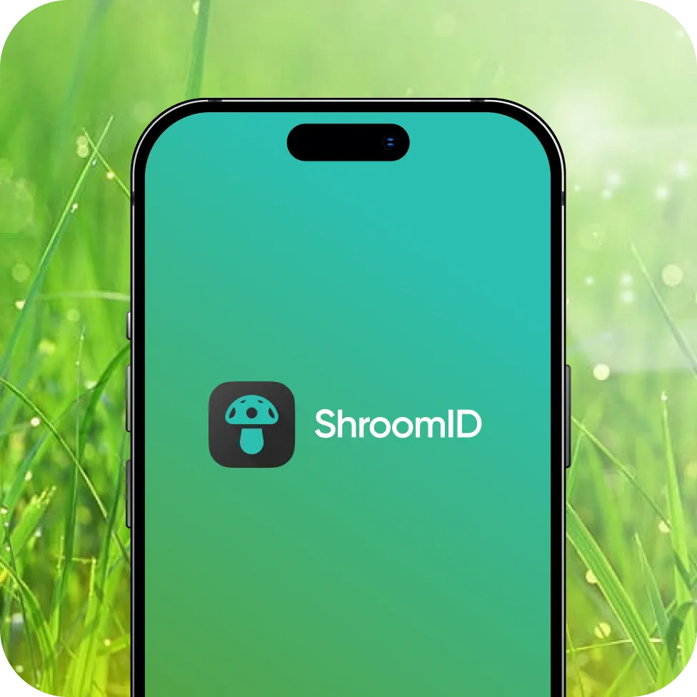 New Pricing Strategy Added 60% to ShroomID’s ARPPU After 3 Months with Applica